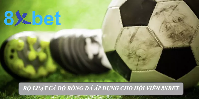 Từ A-Z về luật cá độ bóng đá cho bet thủ tại Việt Nam 4 Tìm hiểu bộ luật cá độ bóng đá áp dụng cho hội viên 8xbet