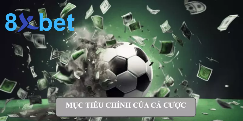 Cá cược - Hướng dẫn chi tiết nhất dành cho người mới bắt đầu 3 Mục tiêu chính của cá cược